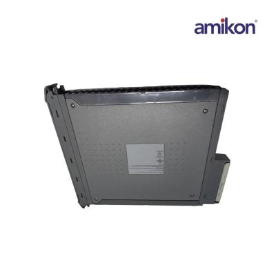 Blindagem ICS TRIPLEX T8191 (para módulo controlador - slot triplo) - pacote de 2