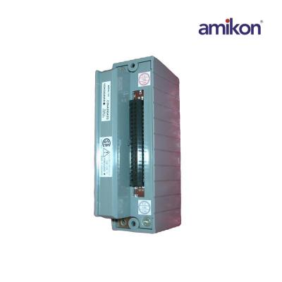 Módulo de E/S analógica Yokogawa ATR8S-00 S2