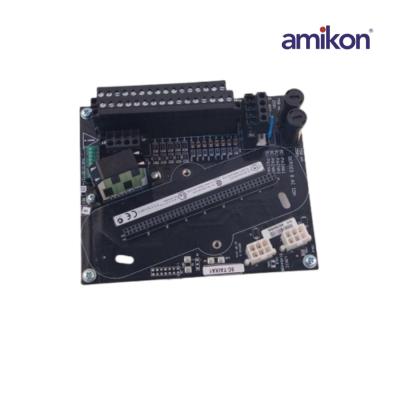 Honeywell 8C-TAIXA1 51307127-175 Módulo de entrada analógica