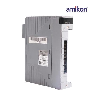 Módulo de saída analógica Yokogawa AAI543-S00 S1