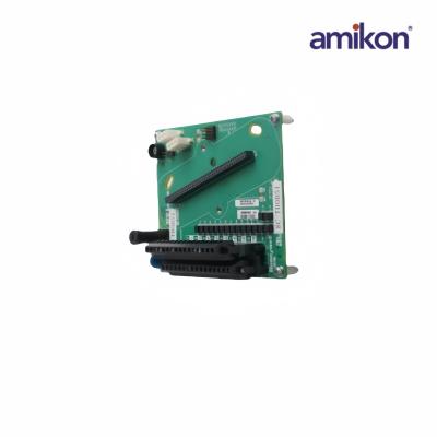 8C-TAOX61/51306981-175