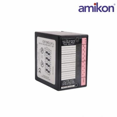 Módulo de entrada General Electric IC670MDL241
    